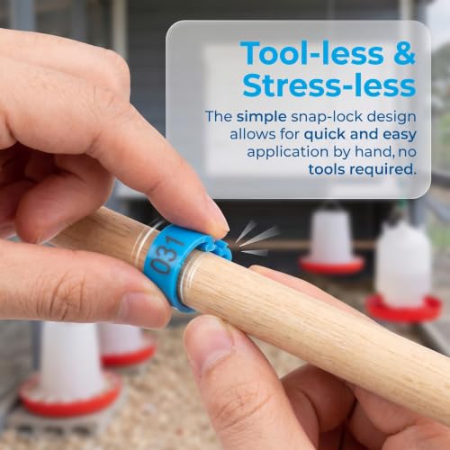 100 PCS 16mm Bird Leg Bands, Numbered Mixed Color Clip On Poultry Rings, Pigeon Quail Identification Bands for Bantam Chickens Canary Lovebirds Small Birds
