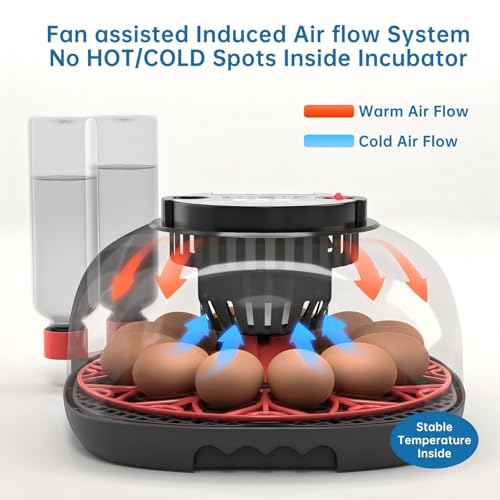 12-24 Egg Incubator incubators for Hatching Eggs | Humidity Display, Egg Candler, Automatic Egg Turner, for Hatching Chickens Duck Quail Parrot - color: Red
