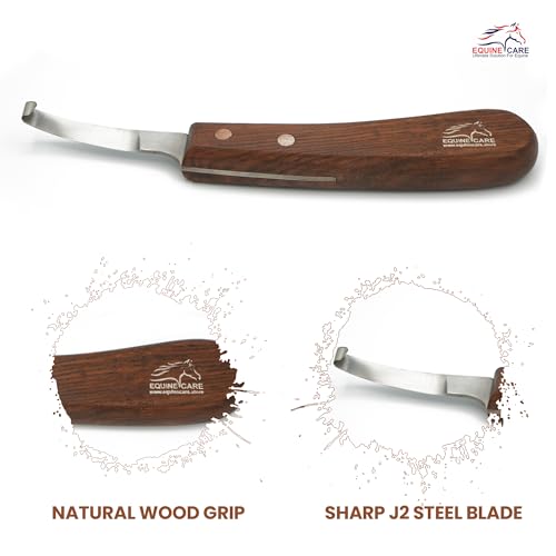 Equine Care Right-Handed Short Blade Hoof Knife for Horse Hoof Trimming | Short Farrier Hoof Knife: J2 stainless steel, compact curled tip and dual-riveted wood handle; right- or left-handed - style: Right Handed