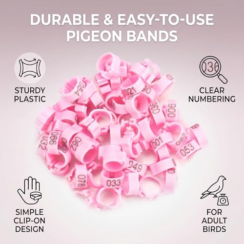 AYNEFY Pigeon Leg Rings,100Pcs / Bag 8mm 001-100 Numbered Letter Bird Leg Bands Pigeon Foot Rings Chick Leg Tags for Bird Ducks Chicken Pigeons Goose Poultry