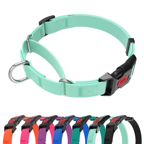 Waterproof Martingale Collar for Dogs,Easy to Clean Dog Collars with Safety Quick Release Buckle,Rubber Collar for Medium Large Dogs Walking Training (Mint Green, L (19.6-25.9inch)) - color: Mint Green, size: L (19.6-25.9inch)