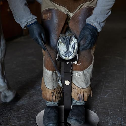 Zonon Farrier Horse Hoof Stand, Tool-Height Adjustable Metal Horse Hoof Trimming Tools, Extra-Large Base Enhances Stability, Blacksmith Farrier Stand(Black,Metal Round Base) - style: Metal Round Base