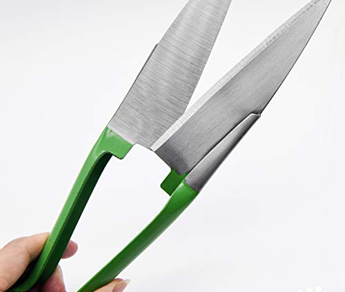 Sheep Shear Grass Shear Alpaca Shears R Shaped Design For Large Thick-Haired Animal Grooming (Green) - color: Green