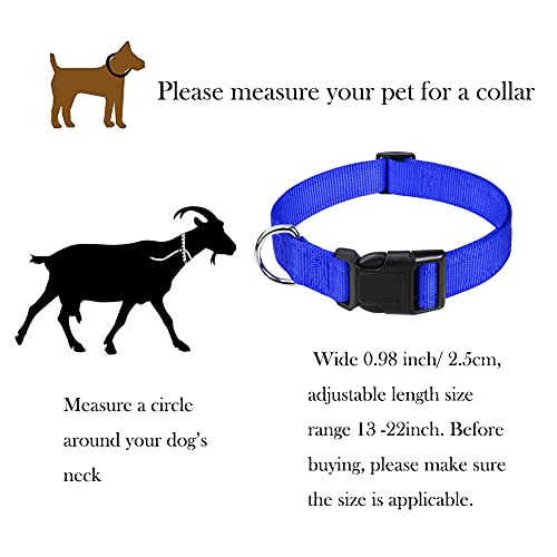 Goat Lead and Goat Collars Set Small Farm Animal Goat Sheep (Blue) | 4 Pieces Nylon 11 inch Sheep Lead with Reflective Strip Design and Nylon Goat Collar - color: Blue