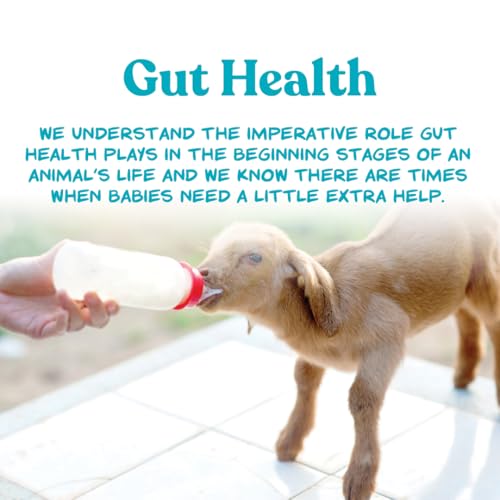 Manna Pro Goat Kid Milk Replacer with Opti-Gut, 8 lb Bag | High-Protein Milk Replacer, Opti-Gut Digestive Support, Easy-to-Mix Formula, Supports Healthy Kid Goat Growth - size: 8 Count (Pack of 1)