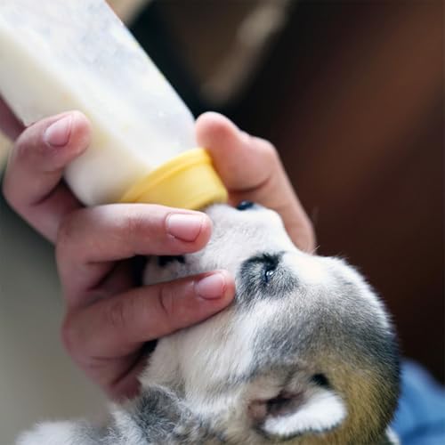 NUOBESTY 1 Set Lamb Feeding Bottles Calf Nursing Feeder Bottles with 8 Replaceable Nipples for Livestock Feeding