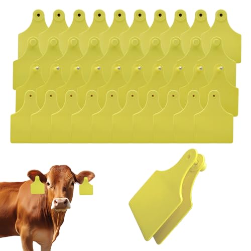 TPU Large Size Split Type Blank Large Cattle Ear Tags,50PCS Upgrade to Prevent Tampering Livestock Ear Tags, for Cattle,Sheep Goat, Pig, 3.9x2.9in (Yellow) - color: Yellow