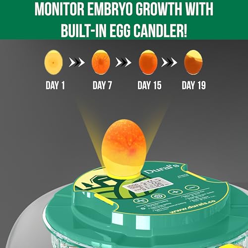 Dural's DX5® | Professional 18 Egg Incubator with Automatic Turning & Humidity Control | FCC Certified Egg Incubator | for Chicken, Quail, Duck Eggs | Precise Temperature | Easy to Clean (18 Eggs)