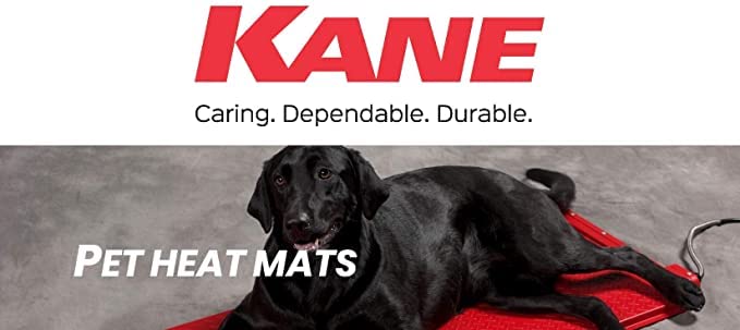 Electric Pet Heat Mat w/Rheostat Control 18x18