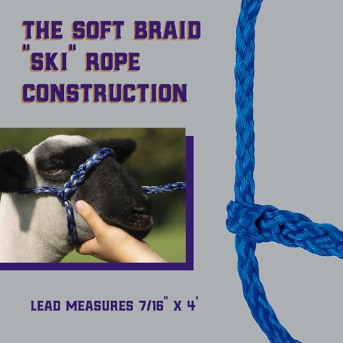 Weaver Livestock Poly Rope Sheep Halter, Modern Style Braid Sheep and Goat Rope Halter, Adjustable Lamb Halter Lead, Livestock Sheep Showing Supplies - color: Blue