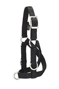 Weaver Leather Livestock Sheep & Goat Training Halter