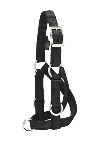 Weaver Leather Livestock Sheep & Goat Training Halter