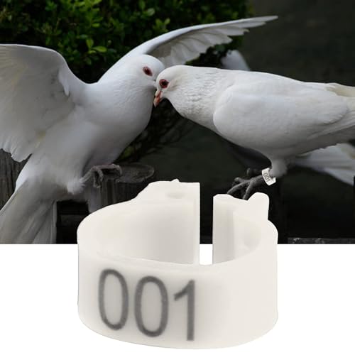100PCS Numbered Leg Bands, 8mm Inner Diameter | Color-Coded Identification for Hatches, Durable Plastic Resists Cracking, Clip-On Design No Extra Tools, Organize Breeding Re
