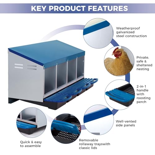 Garvee 4-Hole Roll Away Egg Collection Chicken Nesting Box | Galvanized Steel Nest Box for Laying Eggs - color: Blue, size: 4 holes