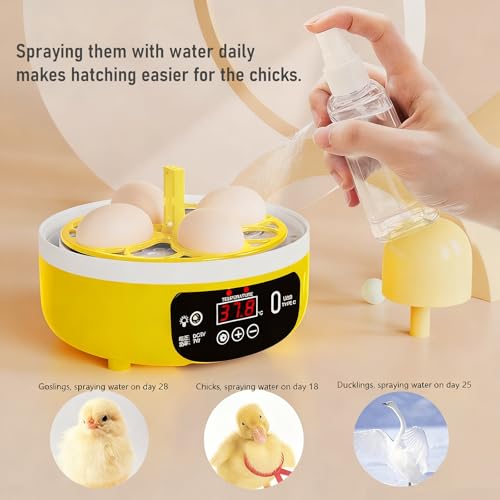 Egg Incubator with Manual Egg Turning & Humidity Control, Incubators for Hatching Eggs, Poultry Incubator for Chicken Duck Goose Quail Bird Eggs, for Kids (Manual)