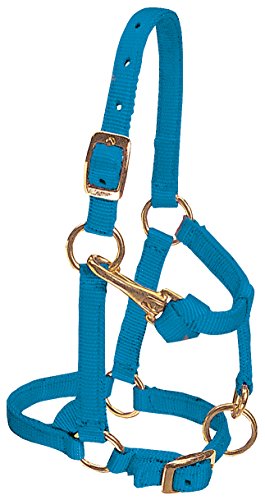 Weaver Leather Nylon Miniature Horse Adjustable Halter, Large, Hurricane Blue