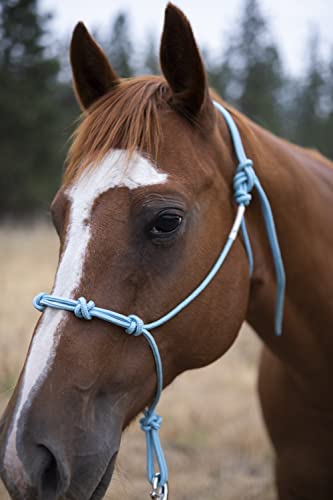Horse Rope Training Halter - 4 Knot 1/4" Stiff Halter Cord - Used by Famous Trainers Multiple Sizes Multiple Colors - color: Beige, size: Yearling