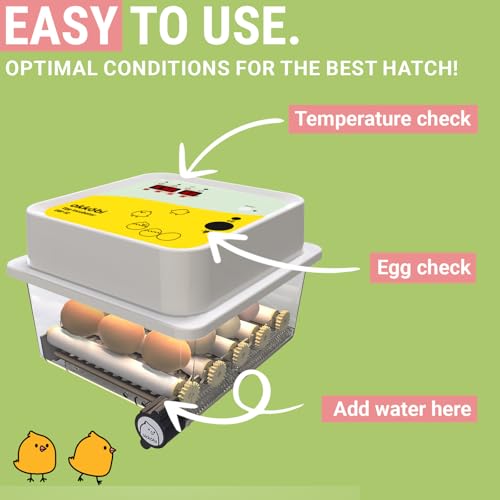 OBI-12 Egg Incubators for Hatching Eggs – Incubator for 12 Eggs with Automatic Egg Turner - Brooder for Chicken Eggs, Quail, and Duck Eggs - Yellow - color: Yellow