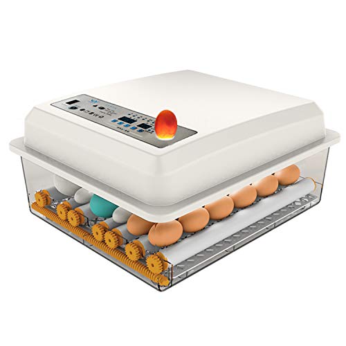 Egg Incubator,Egg Incubator with Automatic Egg Turning and Humidity Control,Poultry Hatcher for Chickens Ducks Birds (56 Eggs) - size: 56 Eggs