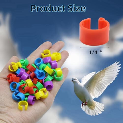 DoubleWood Baby Poultry Leg Bands 1/4" Medium Chick, 200 Pcs Coturnix Quail Leg Bands Baby Chick Leg Bands Pigeon Bands Chicken Leg Bands Rings (Medium 1/4") - size: Medium 1/4"