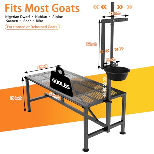 Upgrade Goat Milk Stand with Feed Bin, 600lbs Goat Stand for Grooming & Hoof Trimming, 1mm Thick Platform & Anti-Slip Design, Goat Grooming Stand with Firm Head Lock and Adjustable Head - size: L - 48"L x 19"H