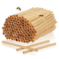 Balacoo Mason Bee Nesting Tubes Refill 200 Pack Reed Inserts | Reed tubes, replacement liners, bee house refill, garden use, solitary bee support, confirm tube size before purchase