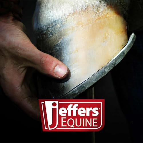 Jeffers Livestock Mini Hoof Rasp for Goats, Sheep, Pony, Mini Horses, Foals – 14" Ergonomic Steel Hoof Trimming Tool with 6 Teeth per Row – One Hand Use, Compact Farrier Hand Rasp