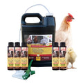 Chick Fresh Odor Eliminator for Backyard Chickens. Makes 1 Gallon of Solution Eliminates Coop, Brooder Odor, Etc. Concentrate w/ 128 oz Empty Sprayer (5 gallons) - size: 5 gallons