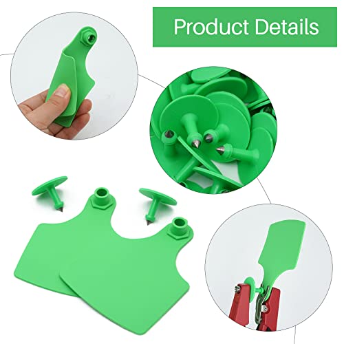 4.1" L×3.5" W Cattle Ear Tags Big Blank 100PCS Livestock Identification TPU | Cow Ear Tags for Cattle Laser Tags for Cows Pigs Hog Goats Sheep Calf Animal Goat Sheep Earring Tags Non-fading (Green) - color: 6-green