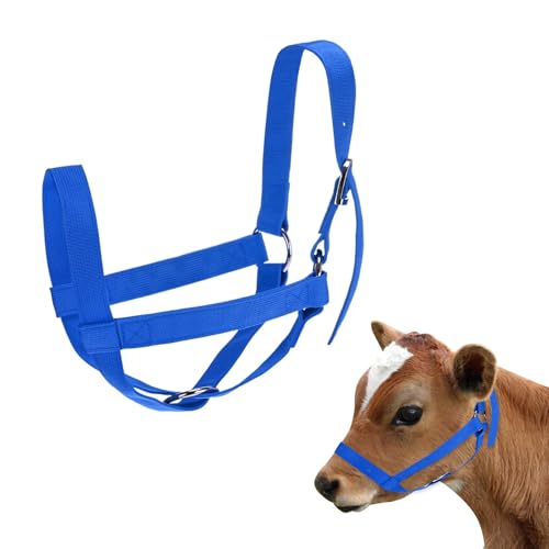 M METERXITY 1-Pack Adjustable Cattle Cow Calf Halter, 13.78"-17.7" Nylon Livestock Cow Halter for Miniature Horse/Donkey/Goat/Cattle [Blue]
