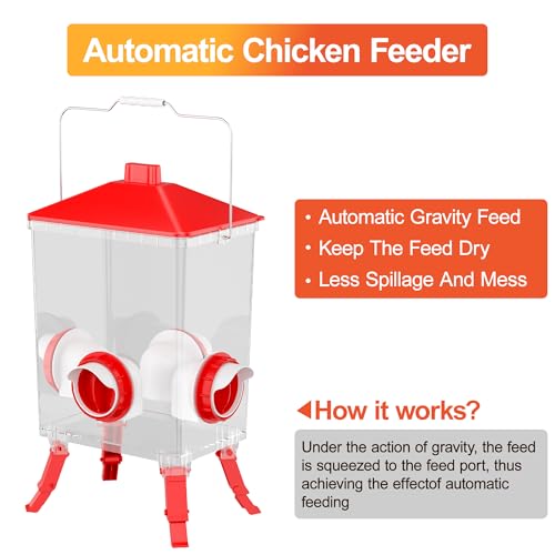 Chicken Feeder and Waterer Set - 3 Height Adjustable | Anti-roost Cone and Locking Legs Design for Backyard Flock