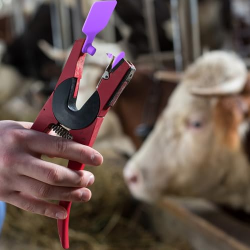 Lothee 100 Pcs Blank Cattle Ear Tags Large Plastic Precision Animal Identification Blank Livestock Ear Tags for Cattle Cow Horse Dog Pig Goat Sheep Farm Management (Purple) - color: Purple