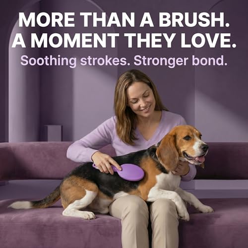 Soft Bristle Dog Brush For Short Haired Cats Or Dogs - Firm Bristles To Remove Dust, Dirt, And Loose Fur - Hook And Rubber Handle