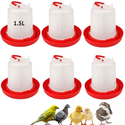 6 Pack 1.5L Gravity-Fed Chick Water for Brooder – Poultry Drinker | Water Dispenser for Baby Chicks, Ducks, Quail, Pigeons, and Backyard Coop Use
