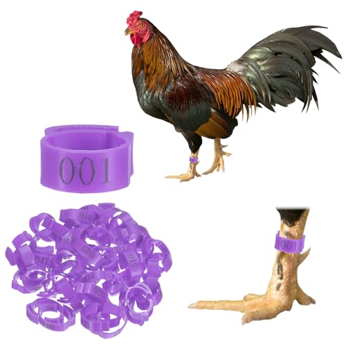 M METERXITY 50-Pack Adjustable Chickens Leg Bands, 17-22 mm Plastic Poultry Identification Chicken Leg Rings for Turkey/Duck/Goose/Chicks, Colorful Numbered Foot Clip on Tags [Purple] - color: Purple