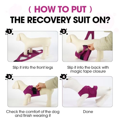 BRKURLEG Dog Chest Recovery Suit After Surgery, Purple XS | Dog Chest & shoulder Wound Cover, Breathable & Soft Anti-Licking Wound Vest, Not for Spay/Neuter Surgeries, Cone Alternative - color: Purple, size: X-Small