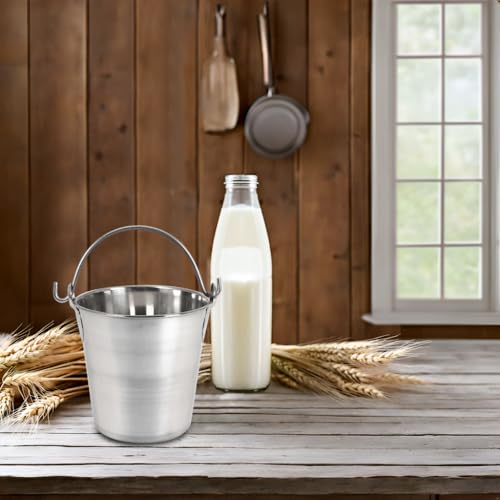 Lindy's 2-Quart Stainless Steel Bucket, Durable Seamless Bucket for Many Home Tasks, Carry Water or Milk, Fill with Food, Use as a Flower Pot, Cleaning Bucket, Table Centerpiece and Much More - size: 2 quarts