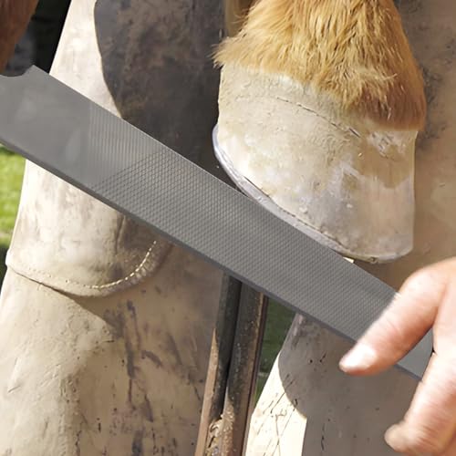 Double-Sided Hoof Rasp, 12'' Farrier File Tool with Ergonomic Rubber Handle, Carbon Steel Horseshoe File for Trimming Horse Goat Cow Donkey Hooves – Heavy-Duty Animal Hoof Care Tool - size: 12''