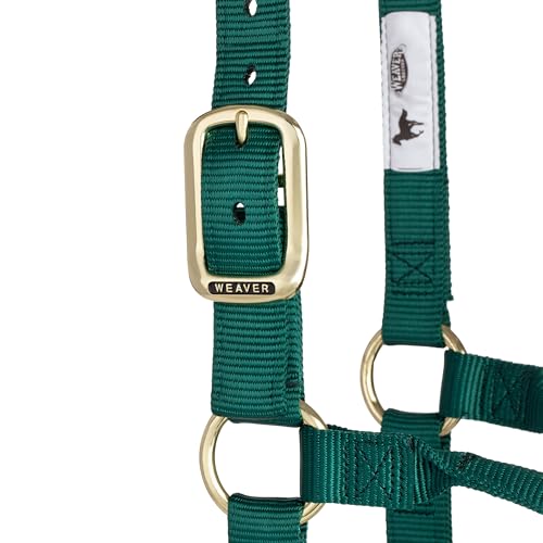 Weaver Leather Original Non-Adjustable Nylon Horse Halter, Hunter Green, Yearling