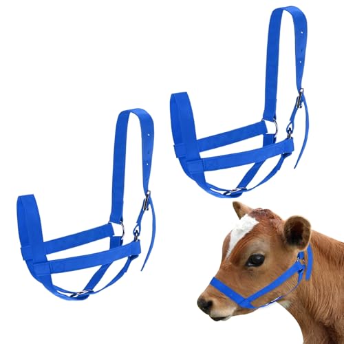 M METERXITY 2-Pack Adjustable Cattle Cow Calf Halter, 19.68"-23.62" Nylon Livestock Cow Halter for Miniature Horse/Donkey/Goat/Cattle [Blue]