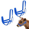 M METERXITY 2-Pack Adjustable Cattle Cow Calf Halter, 19.68"-23.62" Nylon Livestock Cow Halter for Miniature Horse/Donkey/Goat/Cattle [Blue]