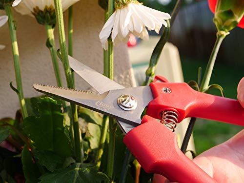 Clauss Spring-Action Stainless Steel Wire Cutters / Pruning Shears For Gardening, Red, 7.5’’ (33503) - style: Floral Cutter
