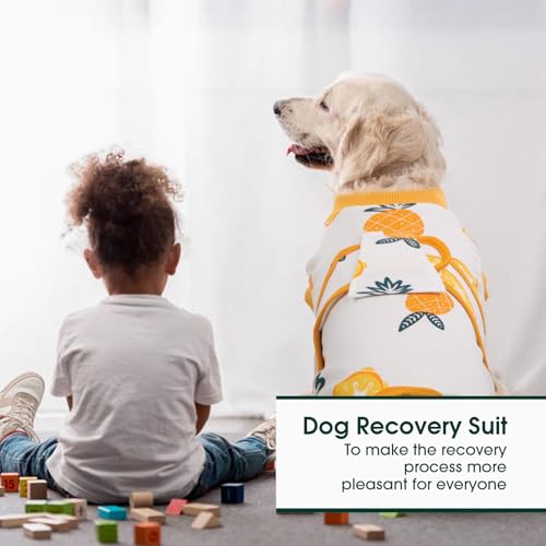 Kuoser Recovery Suit for Dogs Cats, Soft Dog Surgery Suit Female Male Spay | Professional Dog Onesie for Surgery, Substitute E-Collar & Cone, Prevent Licking Dog surgical suit Pet Neuter Suit - color: Pineapple, size: X-small (Back:8.3-11.4'', Weight:4-7