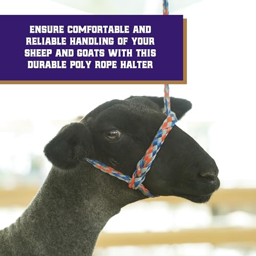 Weaver Livestock Poly Rope Sheep Halter, Modern Style Braid Sheep and Goat Rope Halter, Adjustable Lamb Halter Lead, Livestock Sheep Showing Supplies (Pack of 2) - size: 3/8"X10' (Pack of 2)