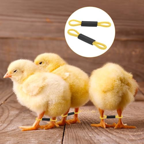 M METERXITY 50-Pack Adjustable Chick Leg Bands, 1.38" x 0.2" Polyester Chicken Leg Brace for Chicks/Ducks/Birds [Yellow] Poultry Leg Bands - color: Yellow