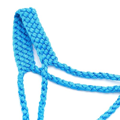 Jeffers Equine Braided Mule Tape Halter with 10' Detachable Lead Rope Set for Horses, 14 to 18 Hands - Stylish Design with Adjustable Poll Strap, Easy to Use Western Tack - Turquoise - color: Turquoise