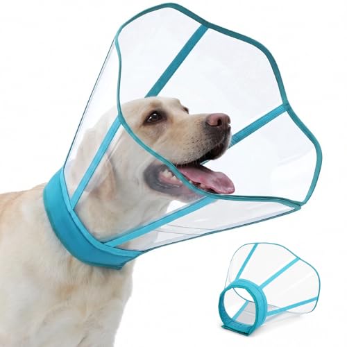 Soft Neck Pad - Hard Plastic Dog Surgery Recovery Cone Collar, Blue-Green M | Clear Vision Cone for Dogs to Stop Licking, Comfy Dog Head Cones of Shame for Medium Dogs, Extra Long Elizabethan Collar - color: Blue-Green, size: Medium
