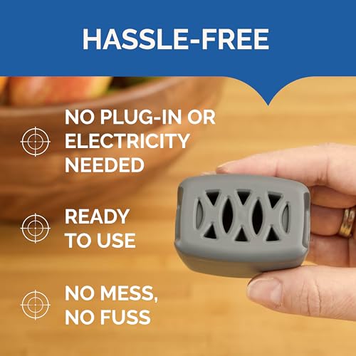 Hot Shot Flying Insect Trap, Attracts & Captures Fruit & House Flies, 6 Ct | 24/7 Continuous Attraction, Discreet & Compact Hassle-Free Trap, Starts Working Immediately, No Plug-In or Electricity Needed