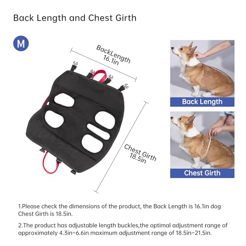 Wakytu Dog Emergency Rescue Sling - Lightweight Packable Lift Harness | with Handle - Safe Transport for Small Medium Dogs - Ideal for Hiking Skiing（8.5-17.5lbs） - size: M（8.5-17.5lbs）