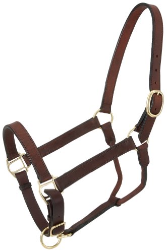 Royal King Leather Stable Halter - color: Brown